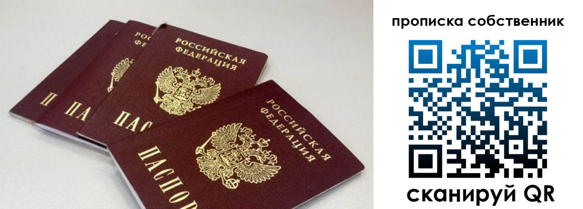 где прописаться в Мончегорске